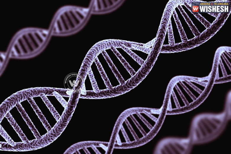 Group of genes behind looking young, says study