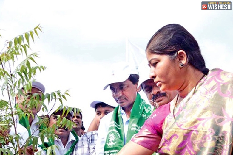 Harithaharam was officially launched in Telangana