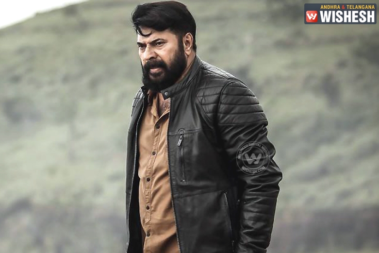 Malayalam Super Star Mammootty Turns A Lawyer In Real Life?