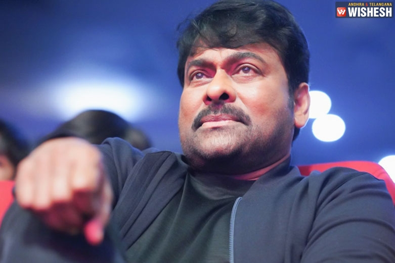 Mega Hunt on for Megastar's Next?