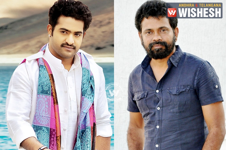 NTR - Sukumar Film Updates