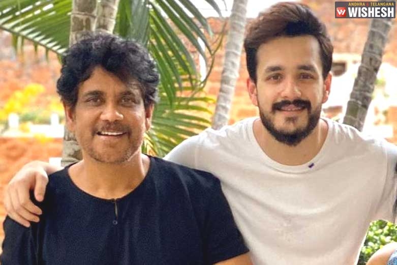 Nagarjuna and Akhil to join Hands?