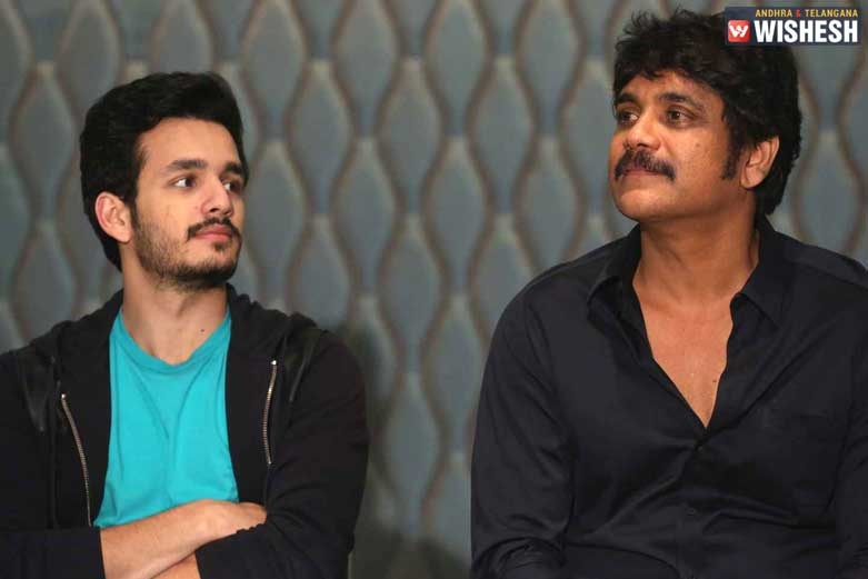 Nagarjuna and Akhil multi-starrer on Cards?