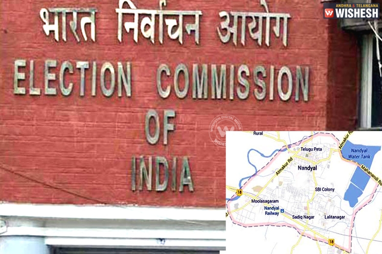 Nandyal By-Election Schedule Announced
