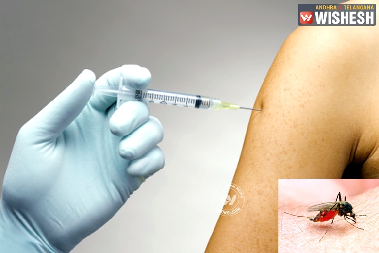 New potential drug discovered for Malaria