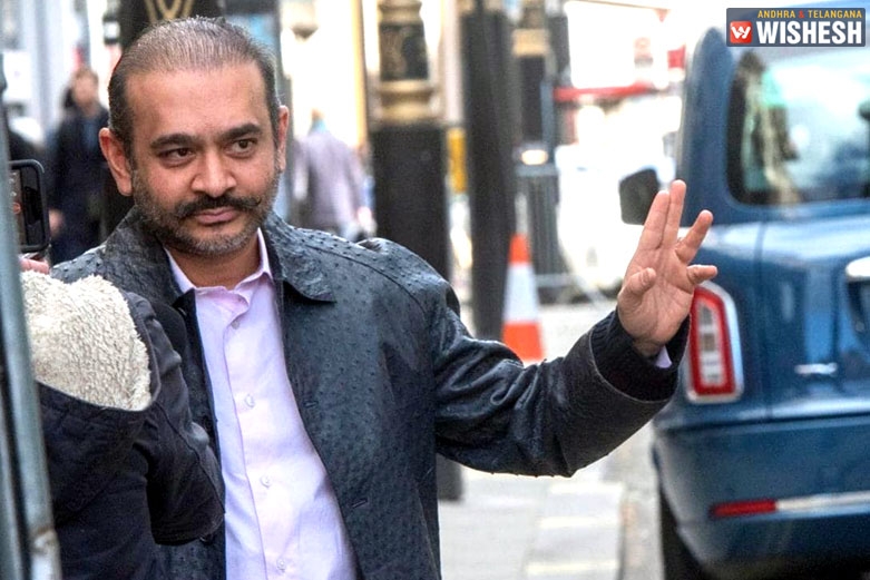 I Will Kill Myself if I Am Extradited to India Says Nirav Modi
