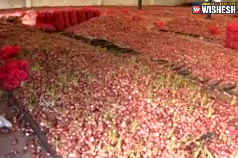 7 Lakh Quintal Onion Rot in MP Warehouse, Rs. 6.7 Cr Spent On Disposal