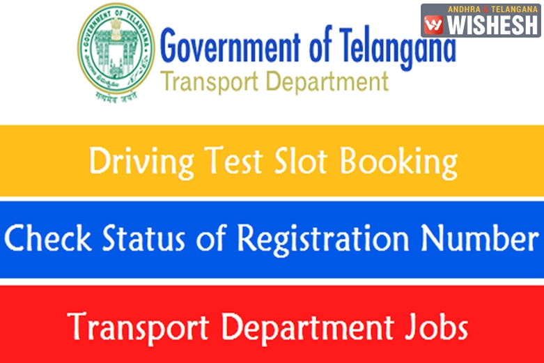 New Services Launched by RTA
