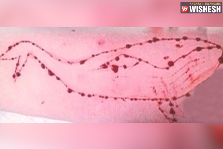 Another Victim Falls Prey For ‘Blue Whale Challenge’ In Chennai