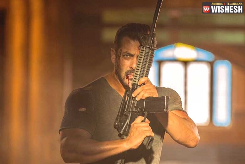 Tiger Zinda Hai Crosses Rs 200 Cr Mark