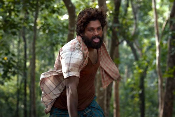Two different titles for Allu Arjun's Pushpa