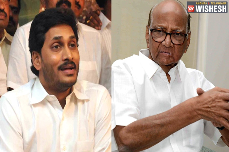 YS Jagan's Big No For Sharad Pawar