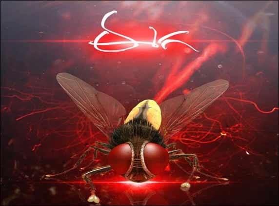 The 3 D 'Eega'...