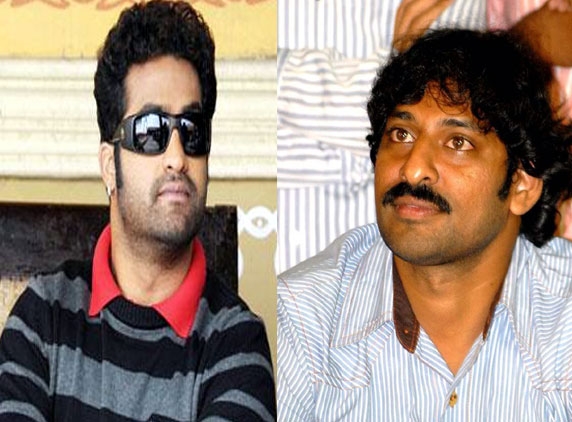 NTR okays Srikanth's script
