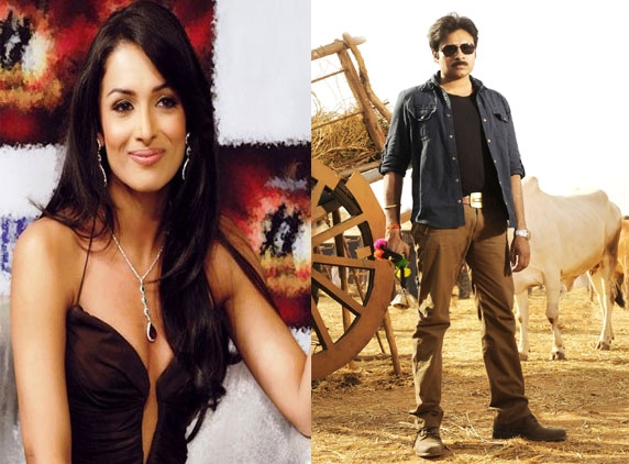 Bollywood sexy actress Malaika is the Gabbar Singh’s Item Girl!