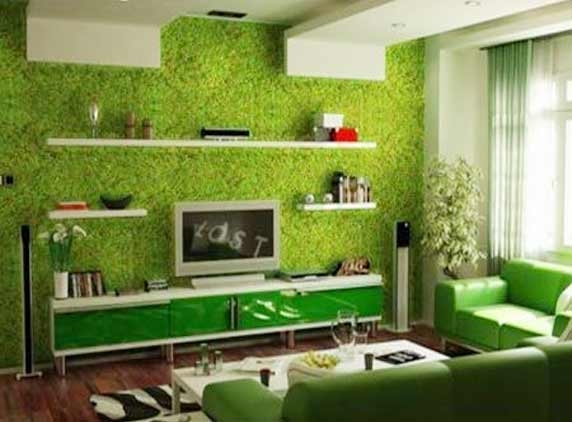 Eco-friendly wallpapers for your home
