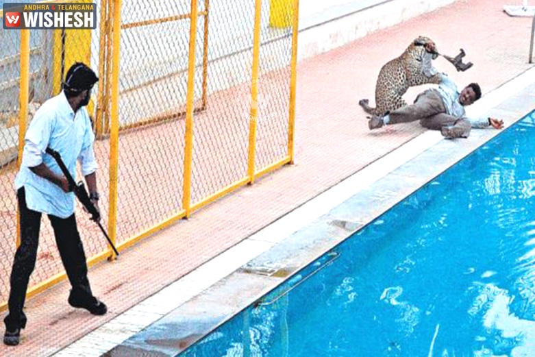 Leopard enters Bengaluru school, threatens many