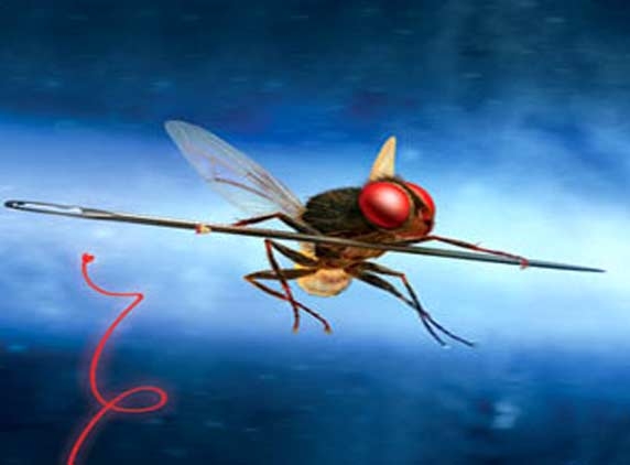 &#039;Eega&#039; no in a mood to stop creating a record...