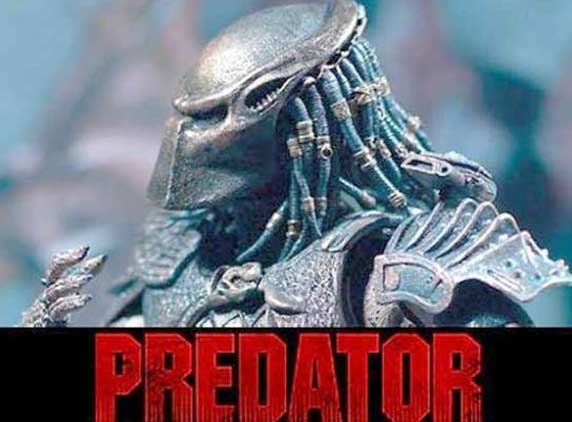 when the predator becomes the prey