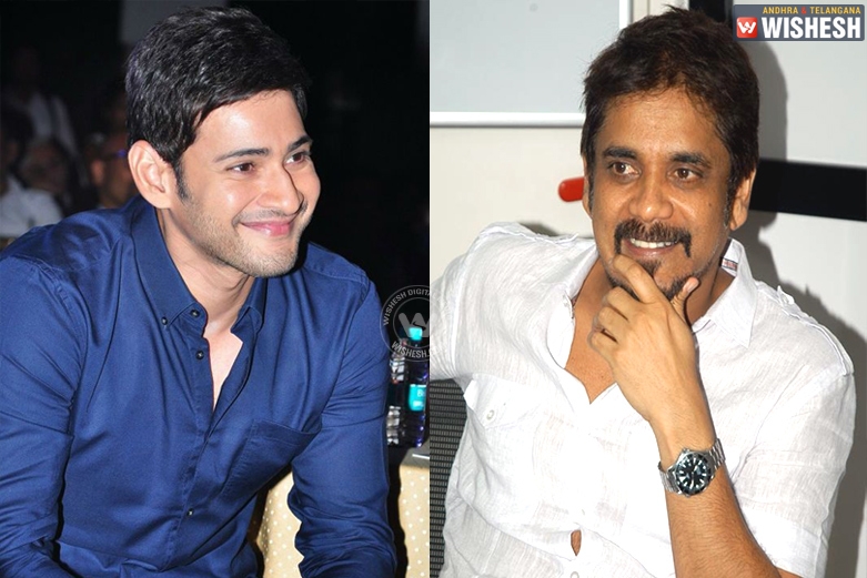 Mahesh Babu and Nagarjuna’s multi-starrer?